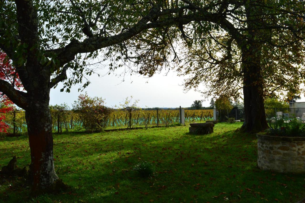 Le Jardin Dans Les Vignes Bed and Breakfast Barsac  Exteriör bild