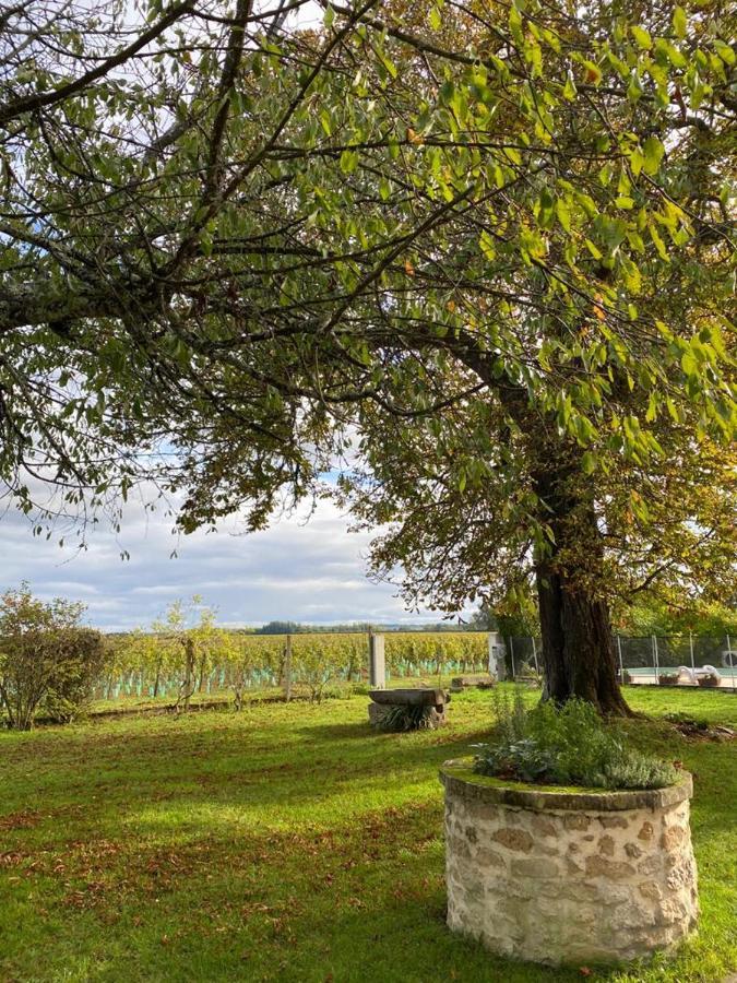 Le Jardin Dans Les Vignes Bed and Breakfast Barsac  Exteriör bild
