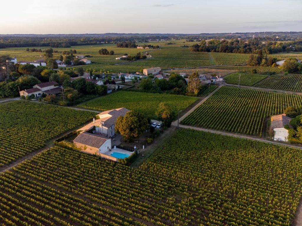 Le Jardin Dans Les Vignes Bed and Breakfast Barsac  Exteriör bild