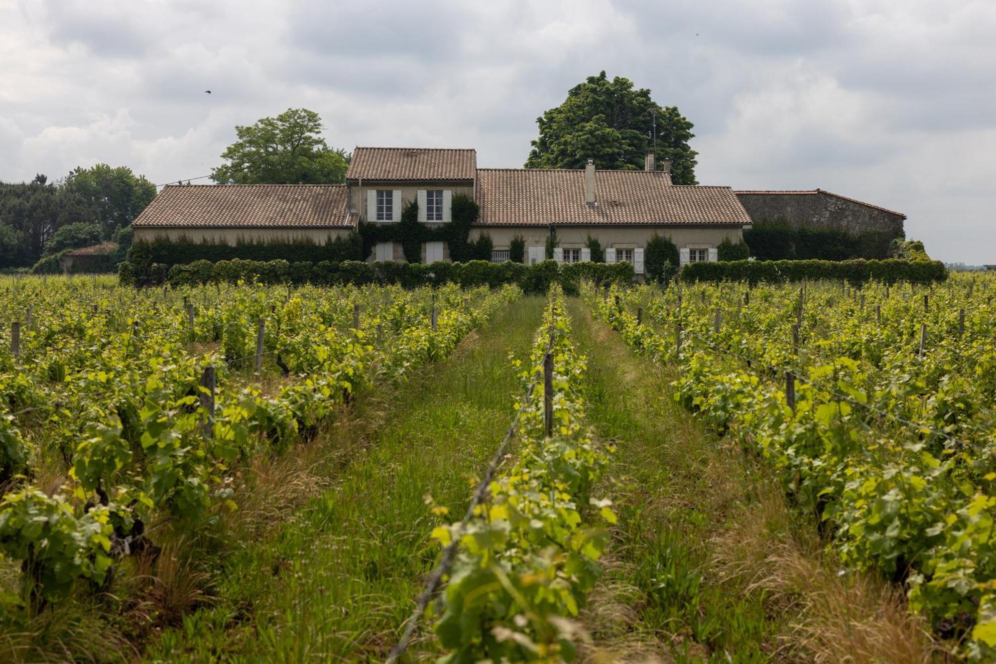 Le Jardin Dans Les Vignes Bed and Breakfast Barsac  Exteriör bild